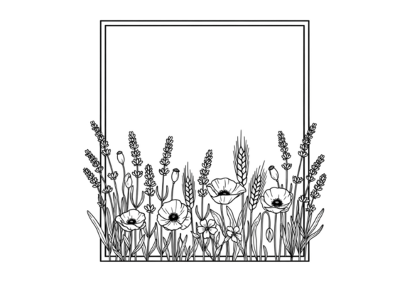 Floral Frame Clipart Poppy Lavender Review